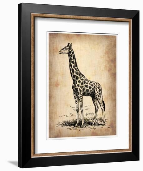 Vintage Giraffe-NaxArt-Framed Art Print