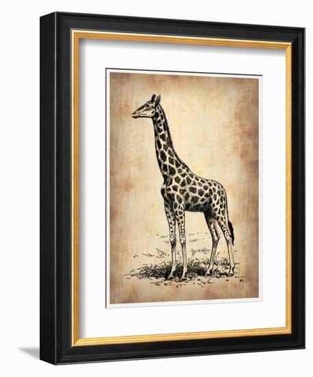 Vintage Giraffe-NaxArt-Framed Art Print