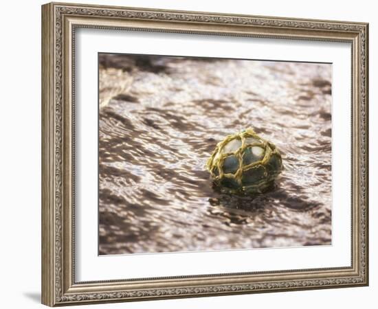 Vintage glass float-Savanah Plank-Framed Photo