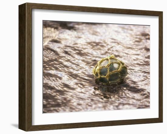 Vintage glass float-Savanah Plank-Framed Photo