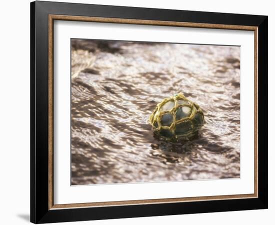 Vintage glass float-Savanah Plank-Framed Photo