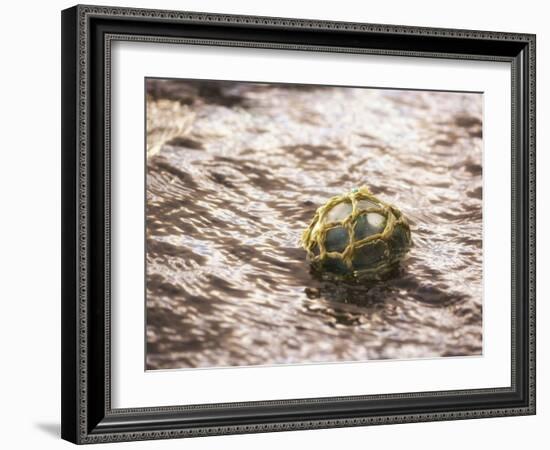 Vintage glass float-Savanah Plank-Framed Photo