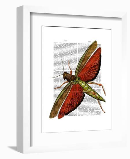 Vintage Grasshopper-Fab Funky-Framed Art Print