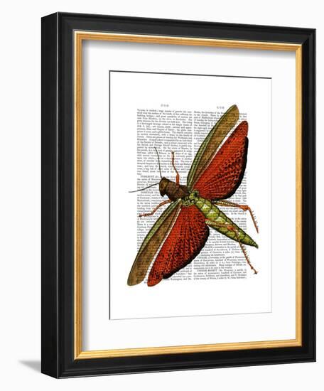 Vintage Grasshopper-Fab Funky-Framed Art Print