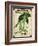 Vintage  Green Beans Seed Packet-null-Framed Giclee Print