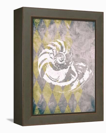 Vintage Harlequin Shell 1-Alicia Soave-Framed Stretched Canvas