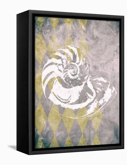 Vintage Harlequin Shell 1-Alicia Soave-Framed Stretched Canvas