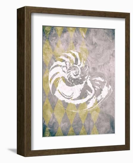 Vintage Harlequin Shell 1-Alicia Soave-Framed Art Print