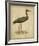 Vintage Heron I-Von Wright-Framed Art Print