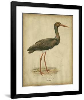 Vintage Heron I-Von Wright-Framed Art Print