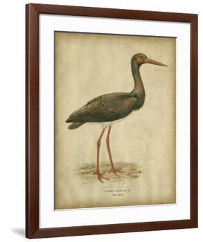 Vintage Heron I-Von Wright-Framed Art Print