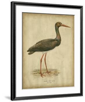 Vintage Heron I-Von Wright-Framed Art Print