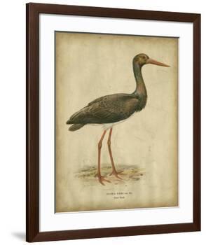 Vintage Heron I-Von Wright-Framed Art Print