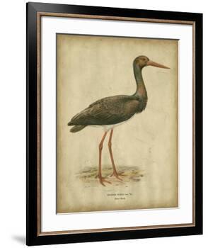 Vintage Heron I-Von Wright-Framed Art Print