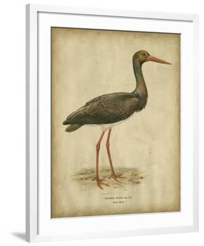 Vintage Heron I-Von Wright-Framed Art Print