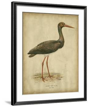 Vintage Heron I-Von Wright-Framed Art Print