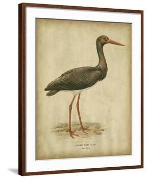 Vintage Heron I-Von Wright-Framed Art Print