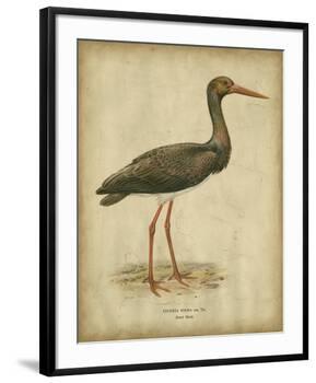Vintage Heron I-Von Wright-Framed Art Print