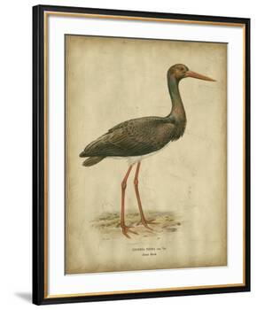 Vintage Heron I-Von Wright-Framed Art Print