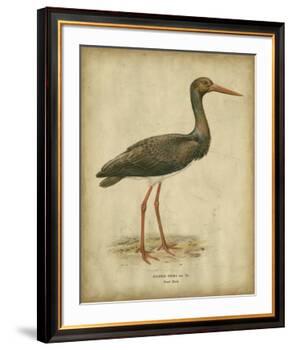 Vintage Heron I-Von Wright-Framed Art Print