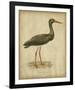 Vintage Heron I-Von Wright-Framed Art Print