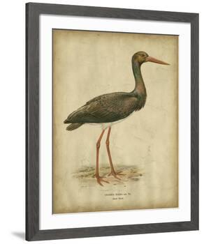 Vintage Heron I-Von Wright-Framed Art Print
