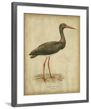 Vintage Heron I-Von Wright-Framed Art Print