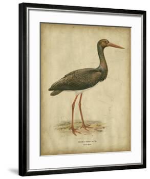 Vintage Heron I-Von Wright-Framed Art Print