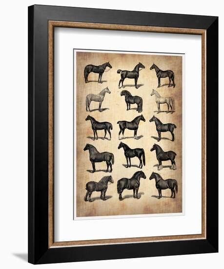 Vintage Horses Collection-NaxArt-Framed Art Print