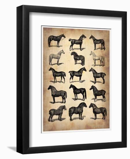 Vintage Horses Collection-NaxArt-Framed Art Print