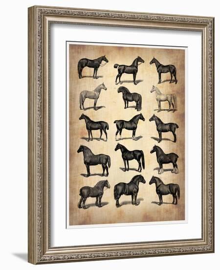 Vintage Horses Collection-NaxArt-Framed Art Print