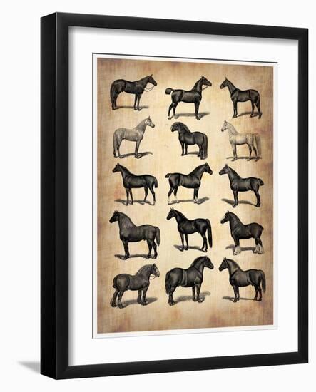 Vintage Horses Collection-NaxArt-Framed Art Print