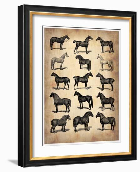 Vintage Horses Collection-NaxArt-Framed Art Print