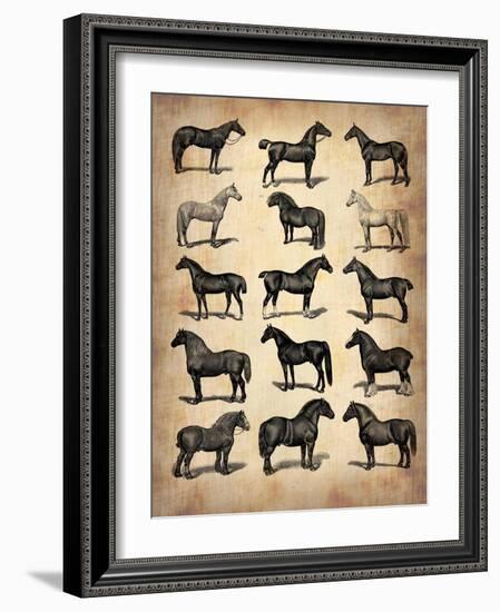 Vintage Horses Collection-NaxArt-Framed Art Print