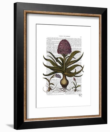 Vintage Hyacinth-Fab Funky-Framed Art Print