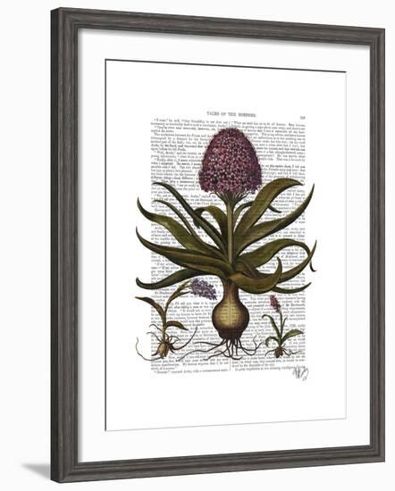 Vintage Hyacinth-Fab Funky-Framed Art Print