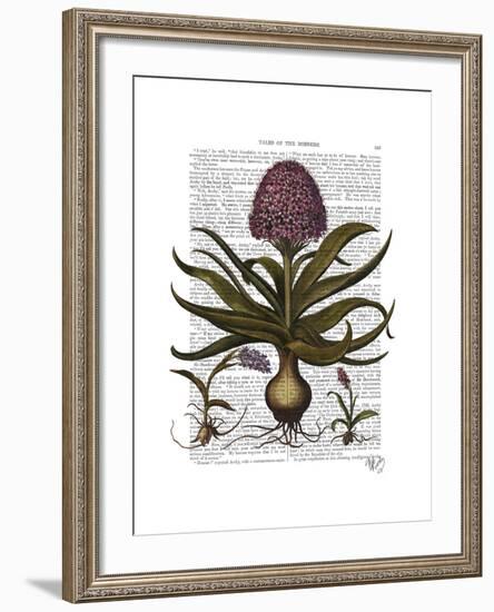 Vintage Hyacinth-Fab Funky-Framed Art Print