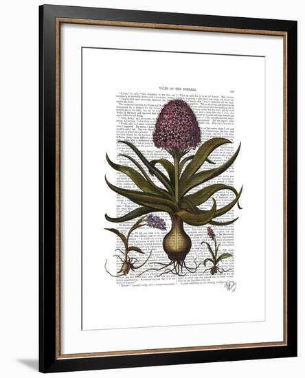 Vintage Hyacinth-Fab Funky-Framed Art Print