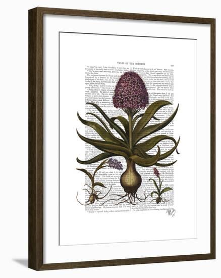 Vintage Hyacinth-Fab Funky-Framed Art Print