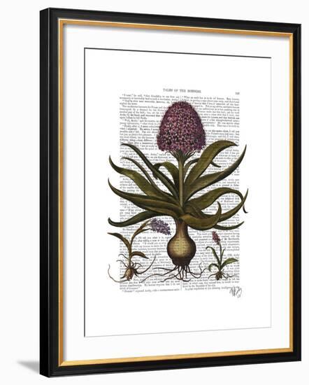 Vintage Hyacinth-Fab Funky-Framed Art Print