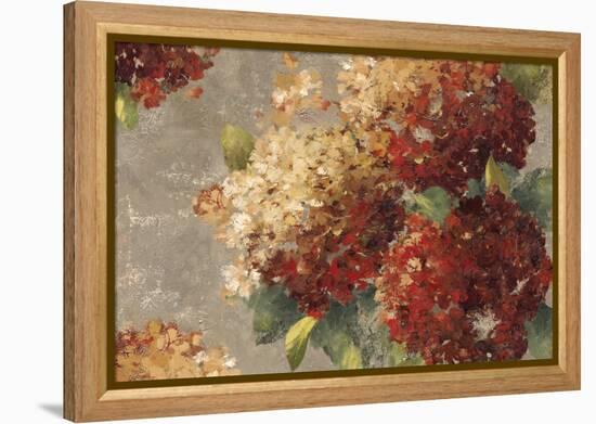 Vintage Hydrangea-Anna Polanski-Framed Stretched Canvas