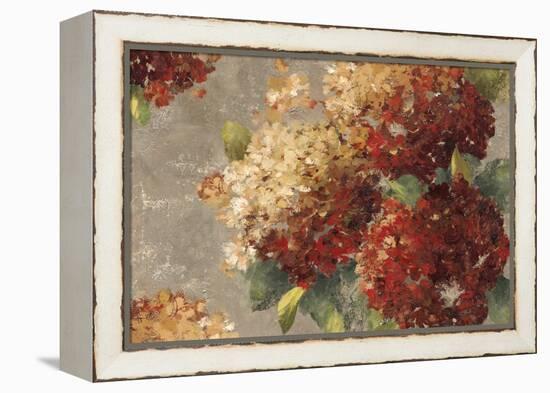 Vintage Hydrangea-Anna Polanski-Framed Stretched Canvas