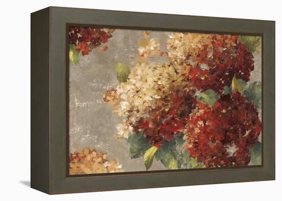 Vintage Hydrangea-Anna Polanski-Framed Stretched Canvas