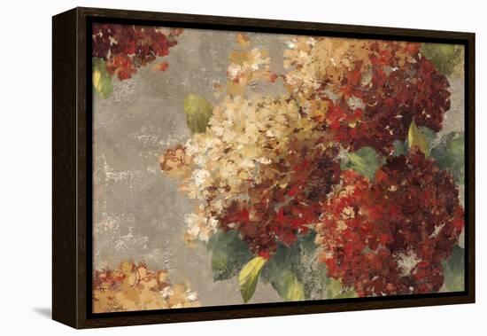 Vintage Hydrangea-Anna Polanski-Framed Stretched Canvas