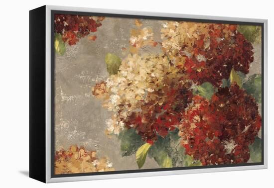 Vintage Hydrangea-Anna Polanski-Framed Stretched Canvas