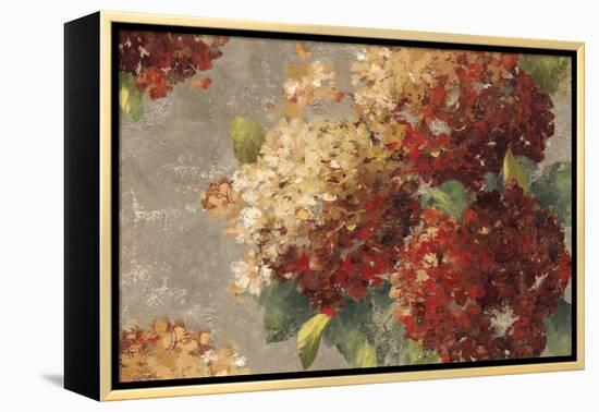 Vintage Hydrangea-Anna Polanski-Framed Stretched Canvas