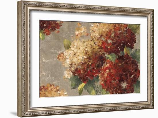 Vintage Hydrangea-Anna Polanski-Framed Art Print