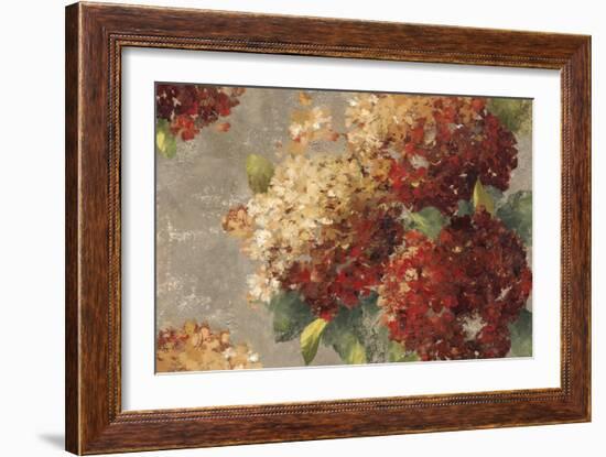 Vintage Hydrangea-Anna Polanski-Framed Art Print