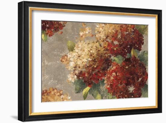 Vintage Hydrangea-Anna Polanski-Framed Art Print