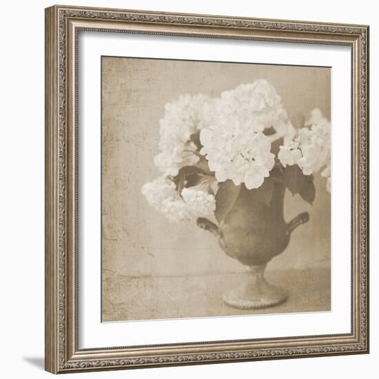 Vintage Hydrangeas-Shana Rae-Framed Giclee Print